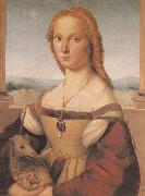 RAFFAELLO Sanzio Portrait of younger woman oil